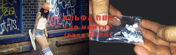 прущие грибы Зерноград