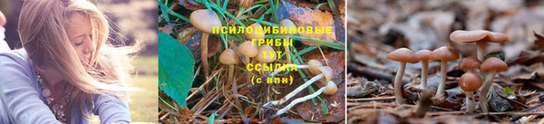 гашиш Зеленокумск
