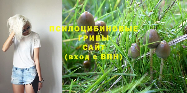 твердый Зеленодольск