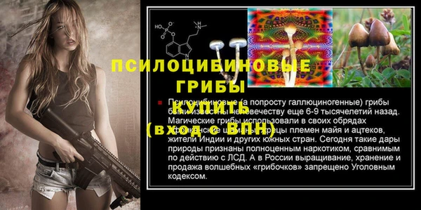 твердый Зеленодольск