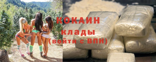 прущие грибы Зерноград