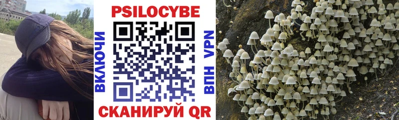 Купить  Гороховец  Псилоцибиновые грибы GOLDEN TEACHER 